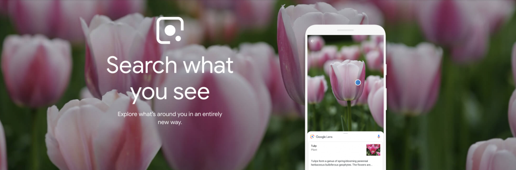 Google Lens: The Image Recognition You Need To Know About 2